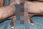 BLACKTOY XL: Gay Escort in All Areas, Netherlands